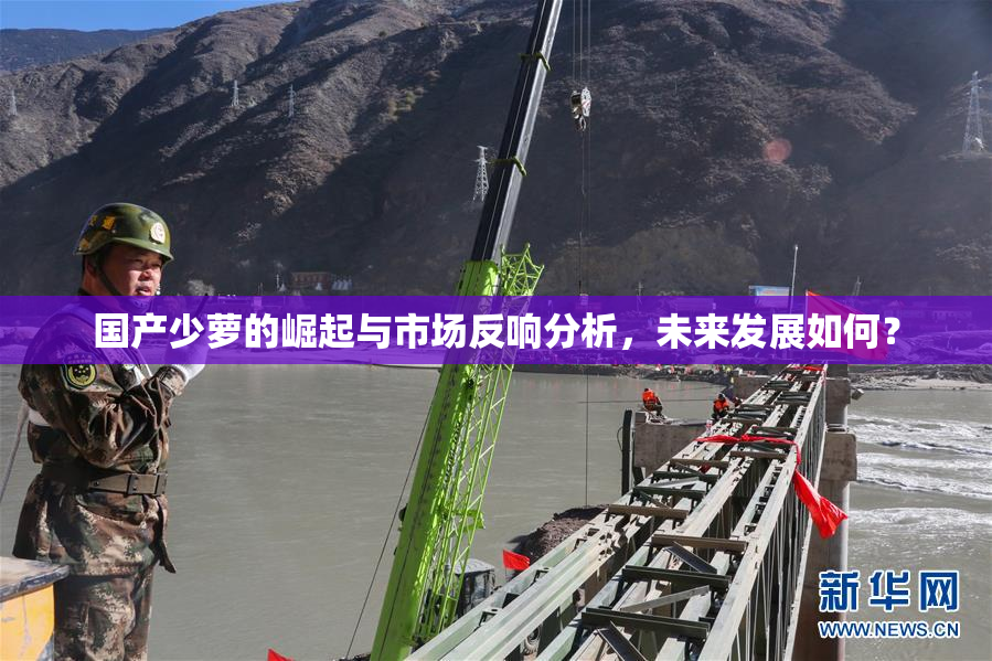 国产少萝的崛起与市场反响分析，未来发展如何？