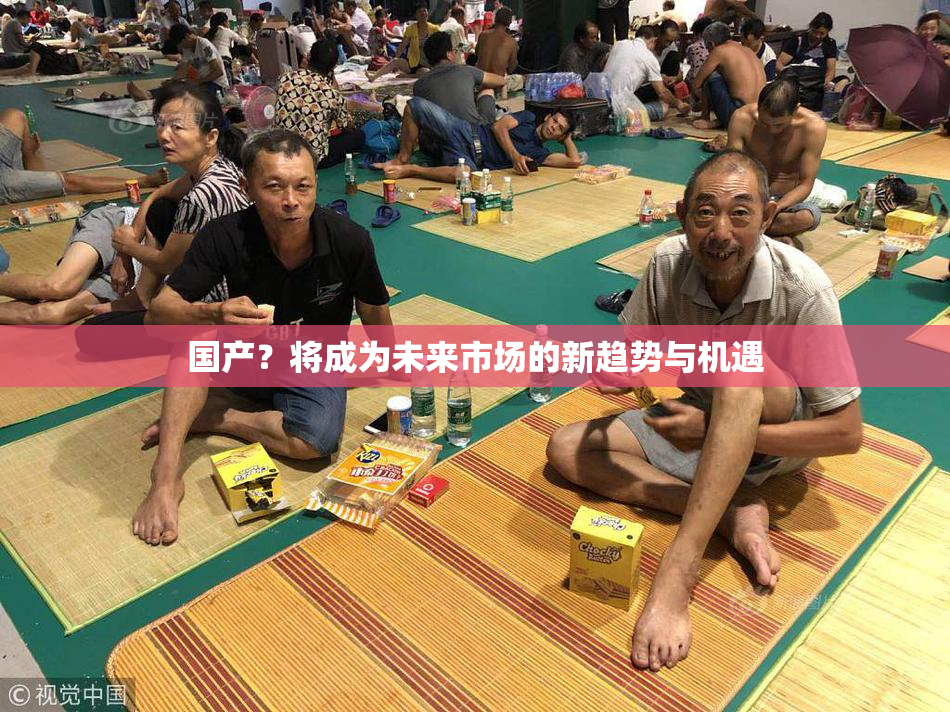 国产？将成为未来市场的新趋势与机遇