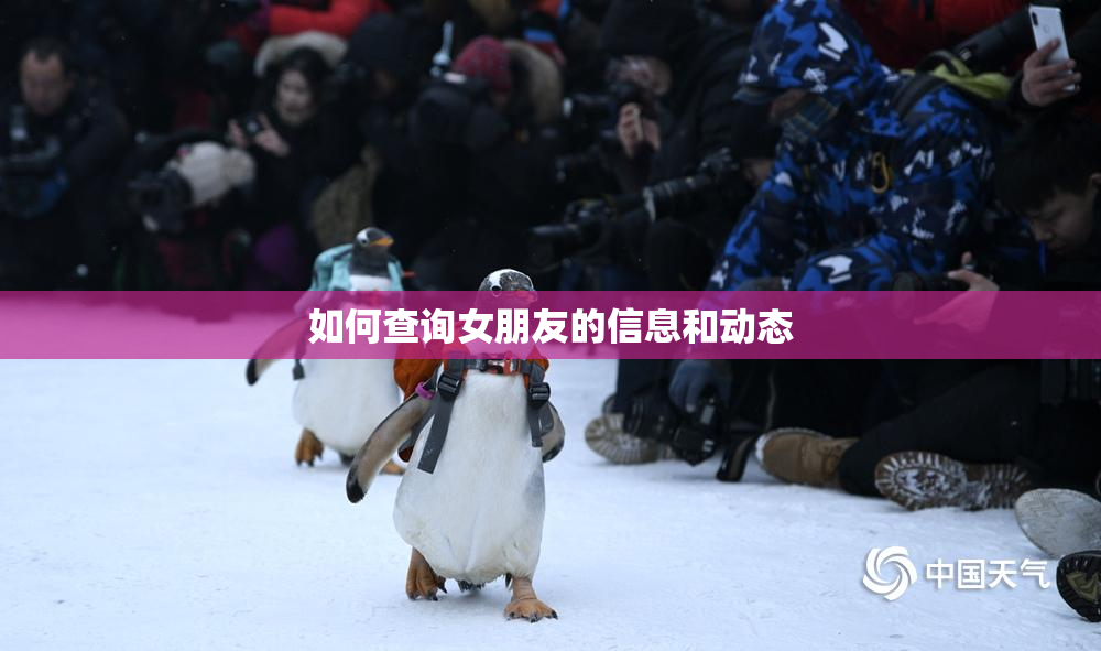 如何查询女朋友的信息和动态