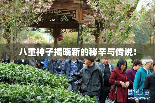 八重神子揭晓新的秘辛与传说！