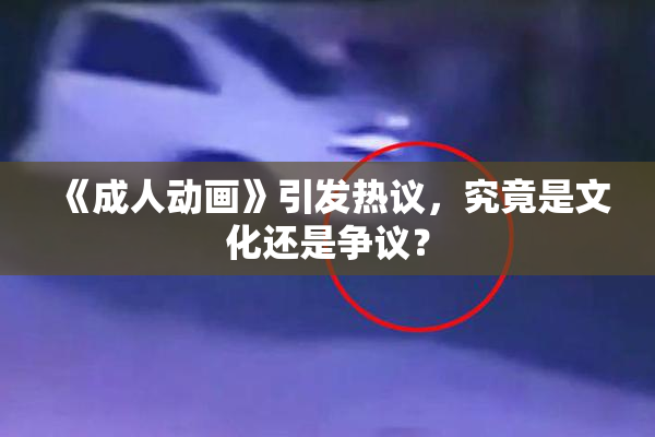 《成人动画》引发热议，究竟是文化还是争议？