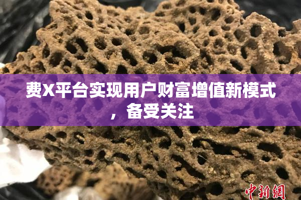费X平台实现用户财富增值新模式，备受关注