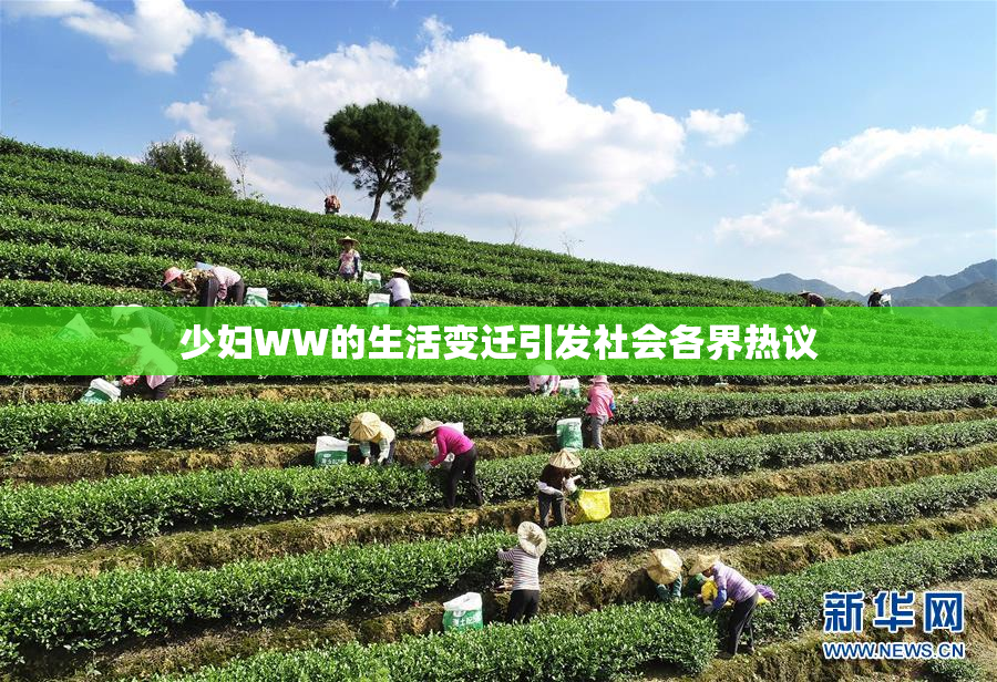 少妇WW的生活变迁引发社会各界热议