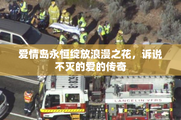 爱情岛永恒绽放浪漫之花，诉说不灭的爱的传奇