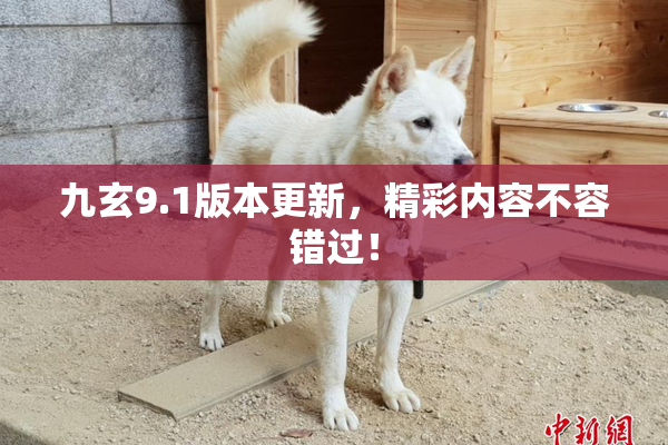 九玄9.1版本更新，精彩内容不容错过！