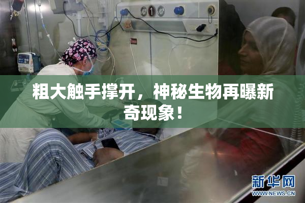 粗大触手撑开，神秘生物再曝新奇现象！