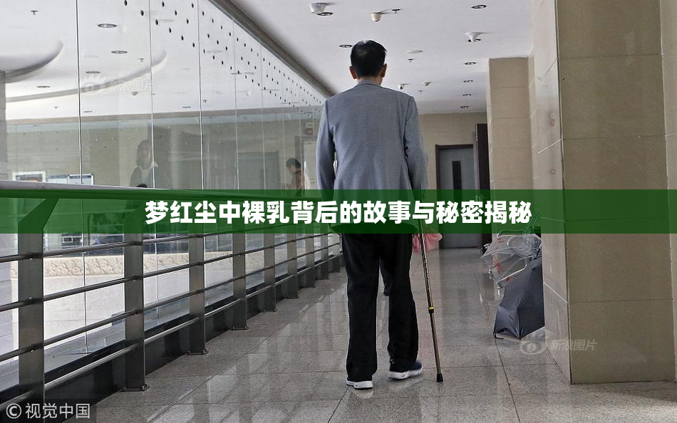梦红尘中裸乳背后的故事与秘密揭秘