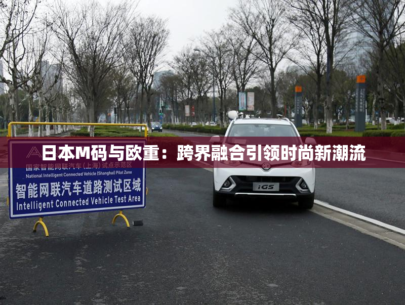 日本M码与欧重：跨界融合引领时尚新潮流