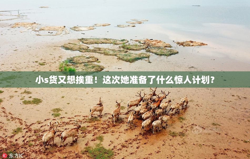 小s货又想挨重！这次她准备了什么惊人计划？