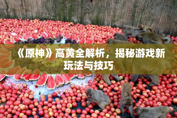 《原神》高黄全解析，揭秘游戏新玩法与技巧