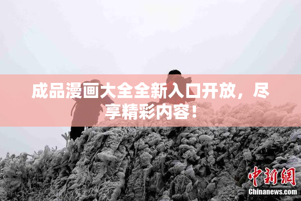 成品漫画大全全新入口开放，尽享精彩内容！