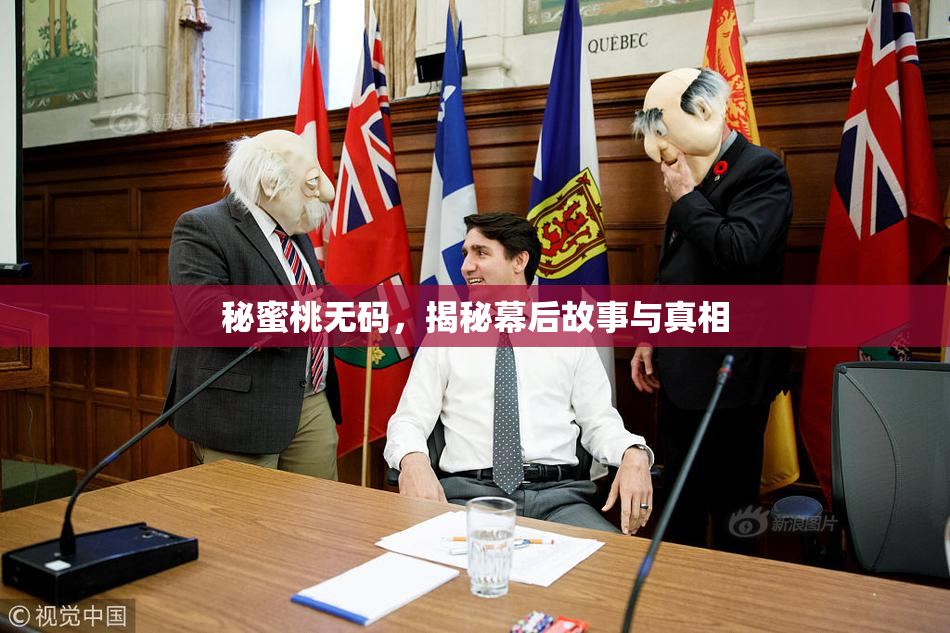 秘蜜桃无码，揭秘幕后故事与真相