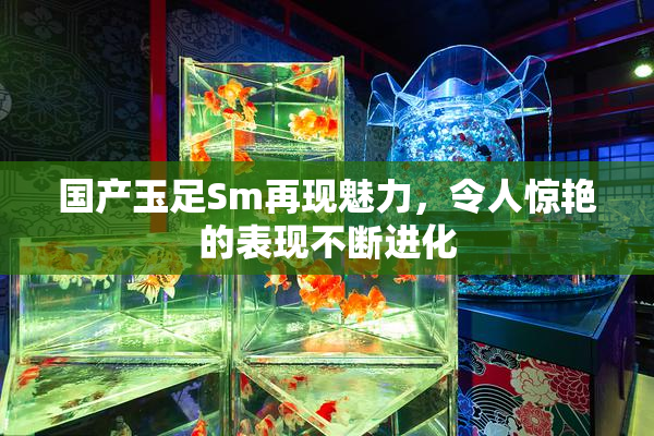 国产玉足Sm再现魅力，令人惊艳的表现不断进化