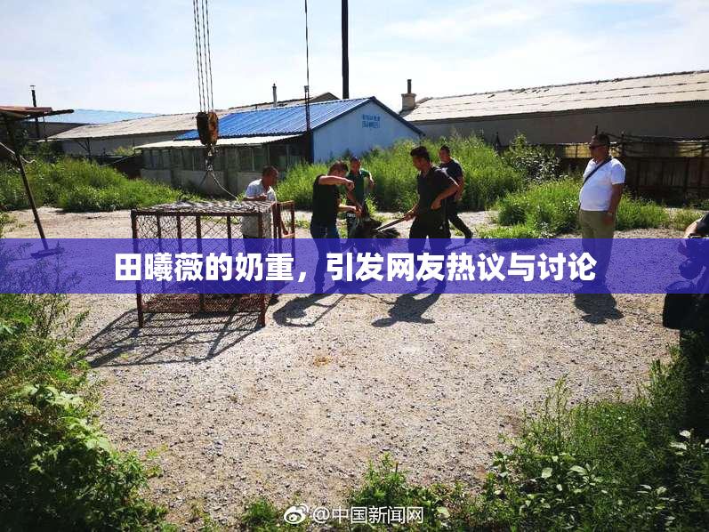 田曦薇的奶重，引发网友热议与讨论