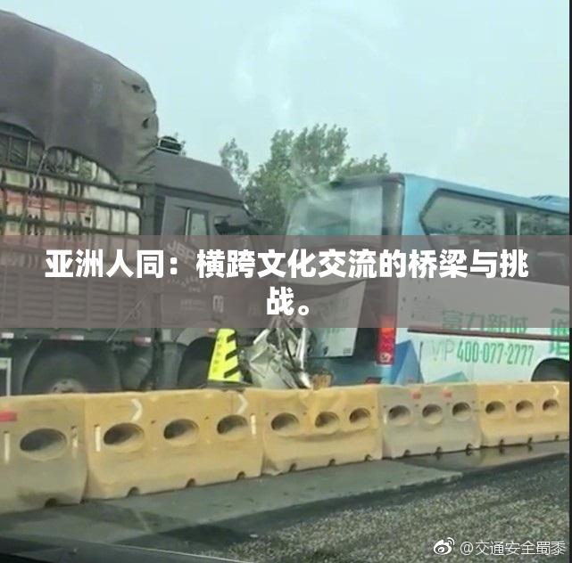 亚洲人同：横跨文化交流的桥梁与挑战。