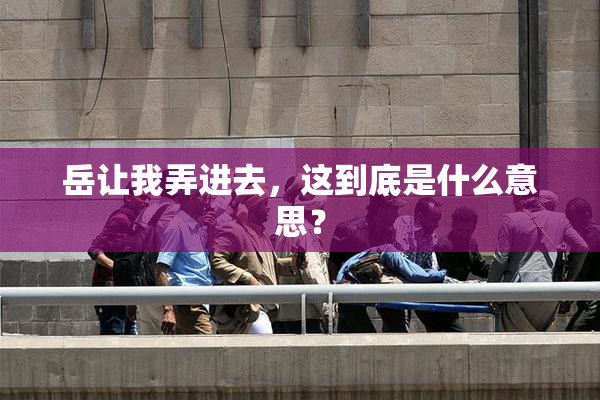 岳让我弄进去，这到底是什么意思？