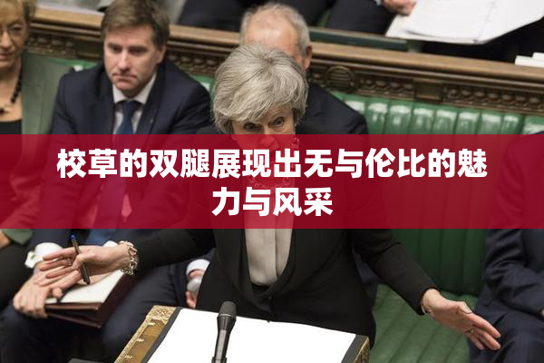 校草的双腿展现出无与伦比的魅力与风采