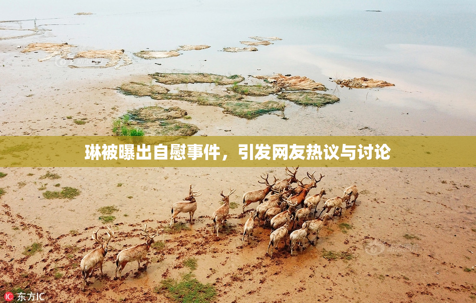 琳被曝出自慰事件，引发网友热议与讨论