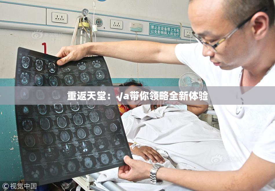 重返天堂：√a带你领略全新体验