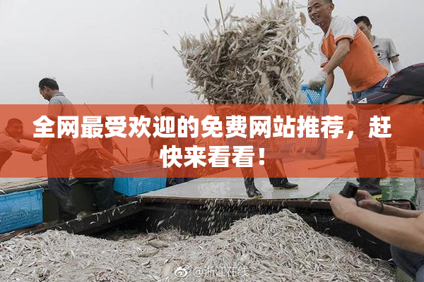 全网最受欢迎的免费网站推荐，赶快来看看！
