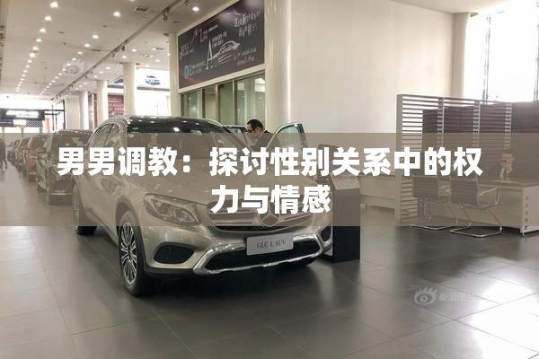 男男调教：探讨性别关系中的权力与情感