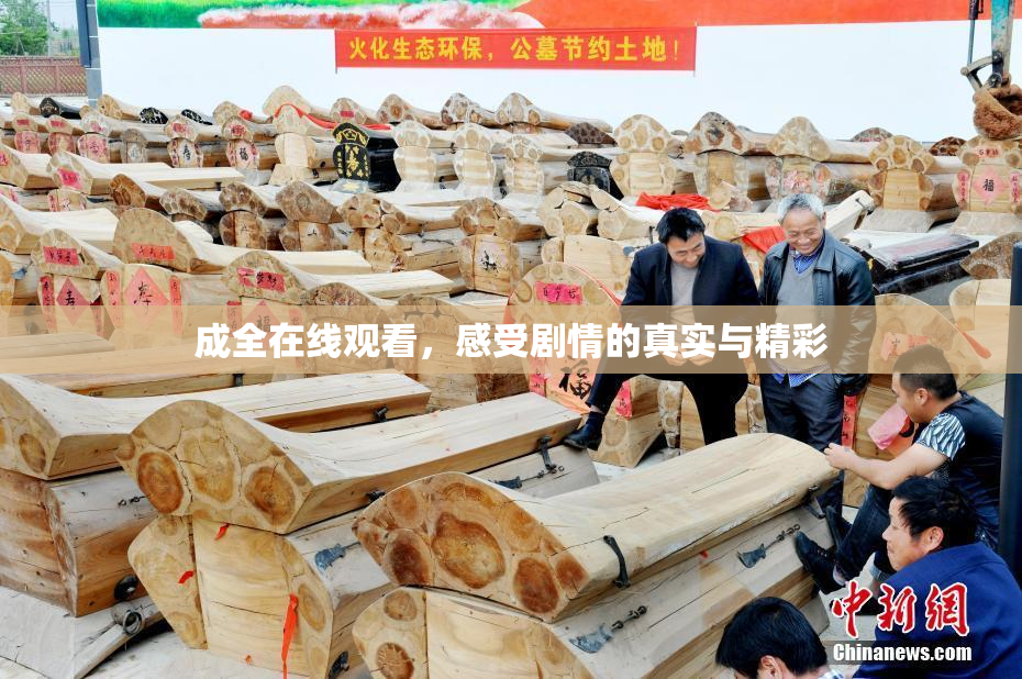 成全在线观看，感受剧情的真实与精彩
