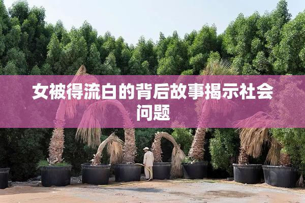 女被得流白的背后故事揭示社会问题