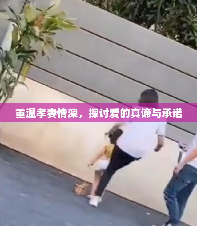 重温孝妻情深，探讨爱的真谛与承诺