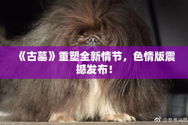 《古墓》重塑全新情节，色情版震撼发布！