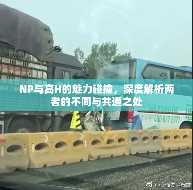 NP与高H的魅力碰撞，深度解析两者的不同与共通之处