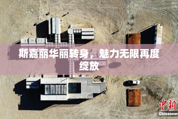 斯嘉丽华丽转身，魅力无限再度绽放