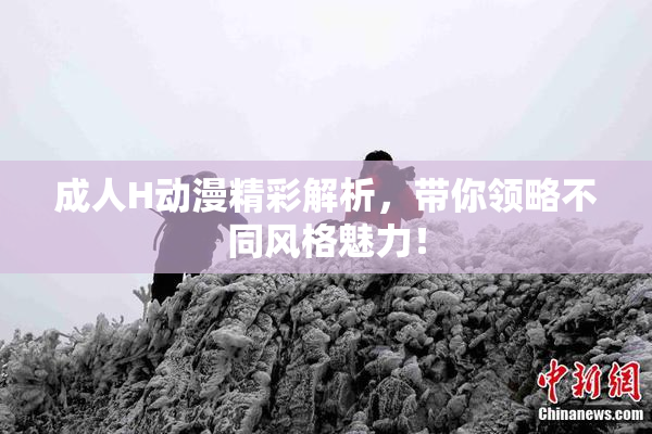 成人H动漫精彩解析，带你领略不同风格魅力！