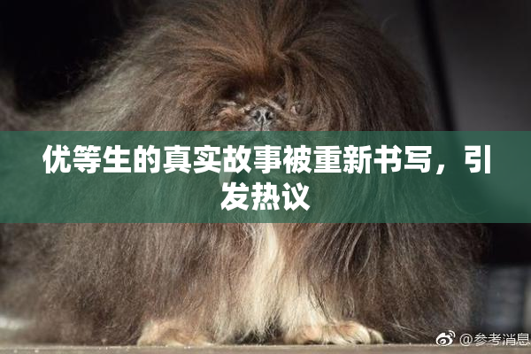 优等生的真实故事被重新书写，引发热议