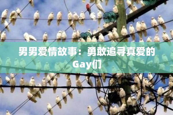 男男爱情故事：勇敢追寻真爱的Gay们
