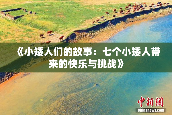 《小矮人们的故事：七个小矮人带来的快乐与挑战》