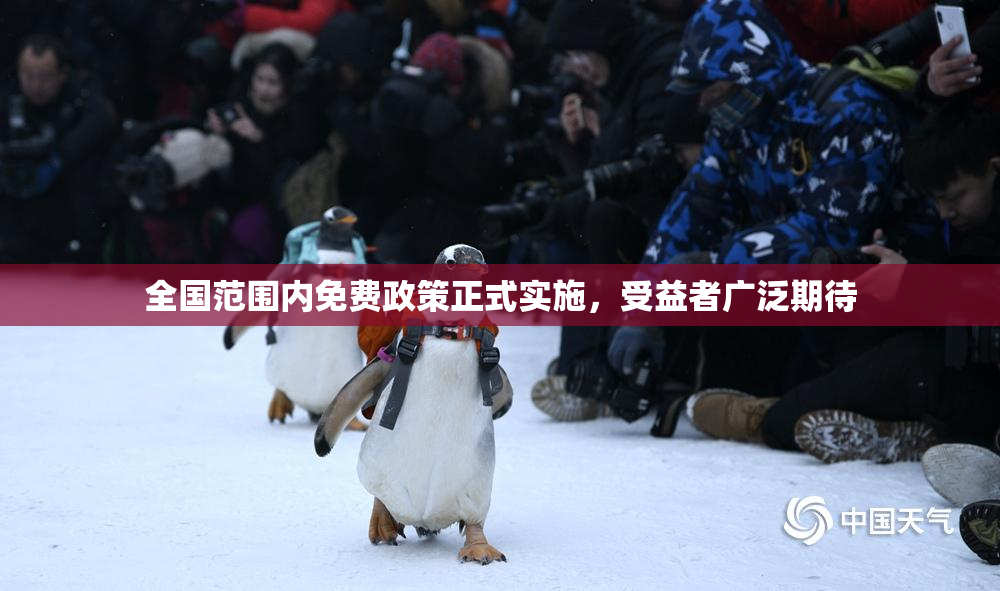 全国范围内免费政策正式实施，受益者广泛期待