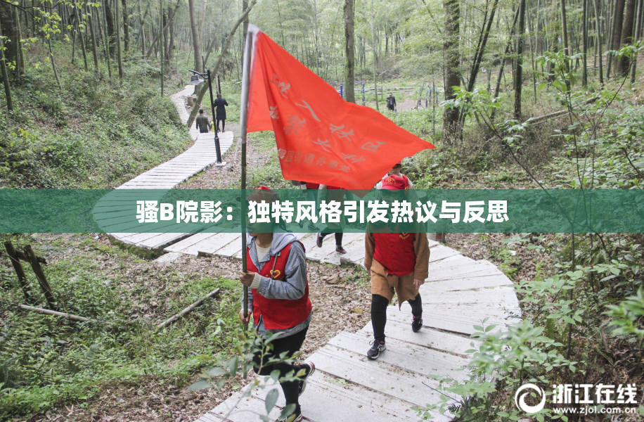 骚B院影：独特风格引发热议与反思