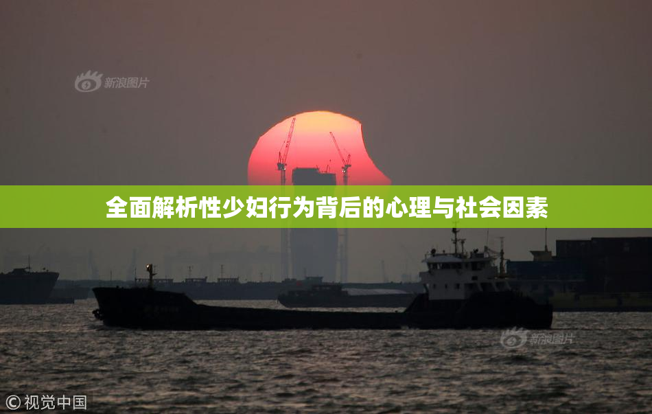 全面解析性少妇行为背后的心理与社会因素