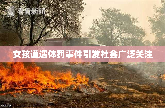女孩遭遇体罚事件引发社会广泛关注