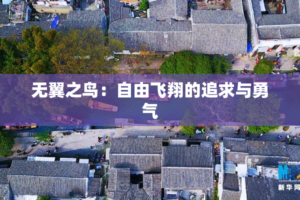无翼之鸟：自由飞翔的追求与勇气