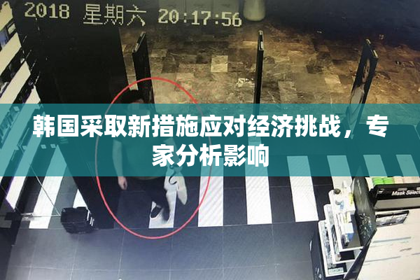 韩国采取新措施应对经济挑战，专家分析影响