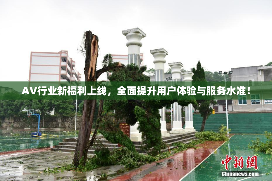 AV行业新福利上线，全面提升用户体验与服务水准！