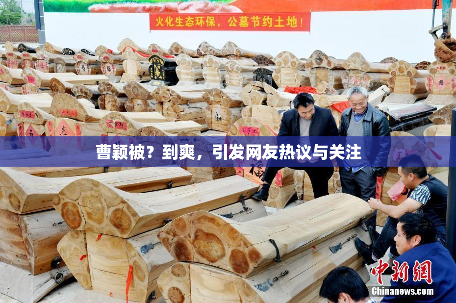 曹颖被？到爽，引发网友热议与关注