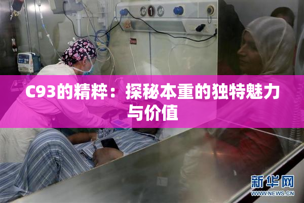 C93的精粹：探秘本重的独特魅力与价值