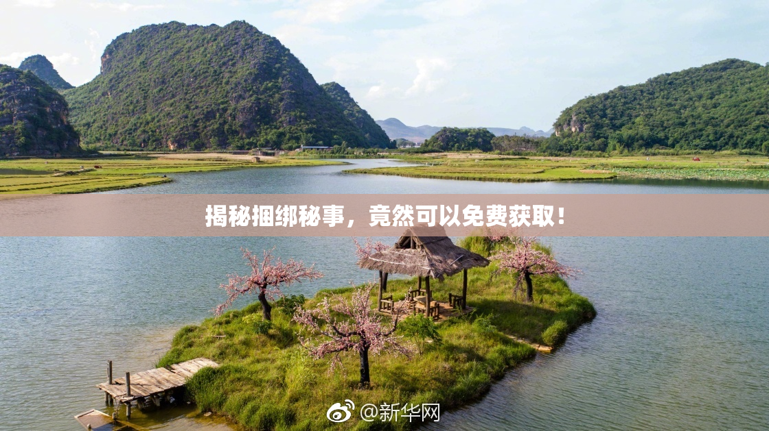 揭秘捆绑秘事，竟然可以免费获取！