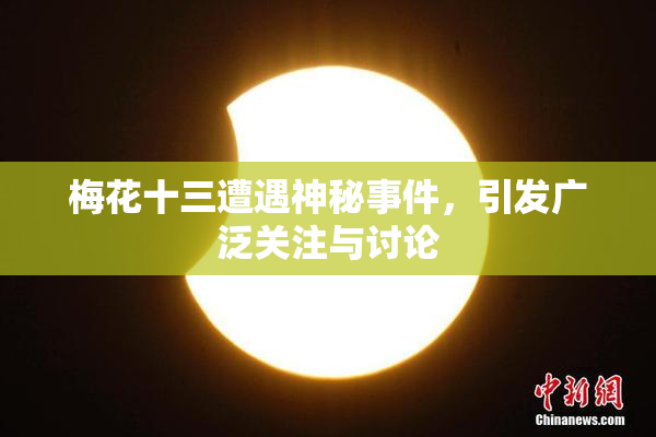 梅花十三遭遇神秘事件，引发广泛关注与讨论