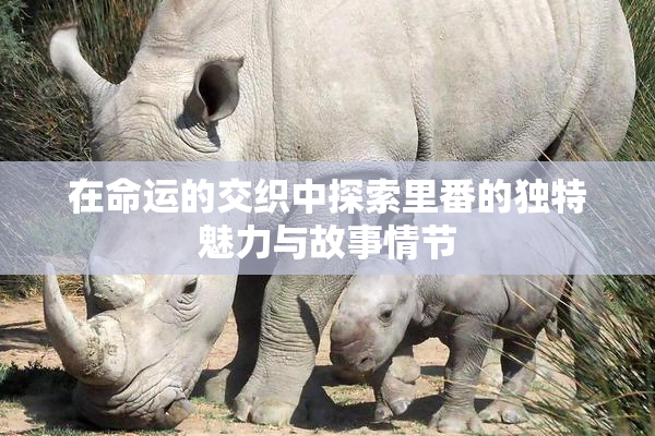 在命运的交织中探索里番的独特魅力与故事情节