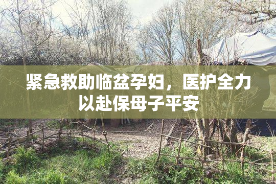 紧急救助临盆孕妇，医护全力以赴保母子平安