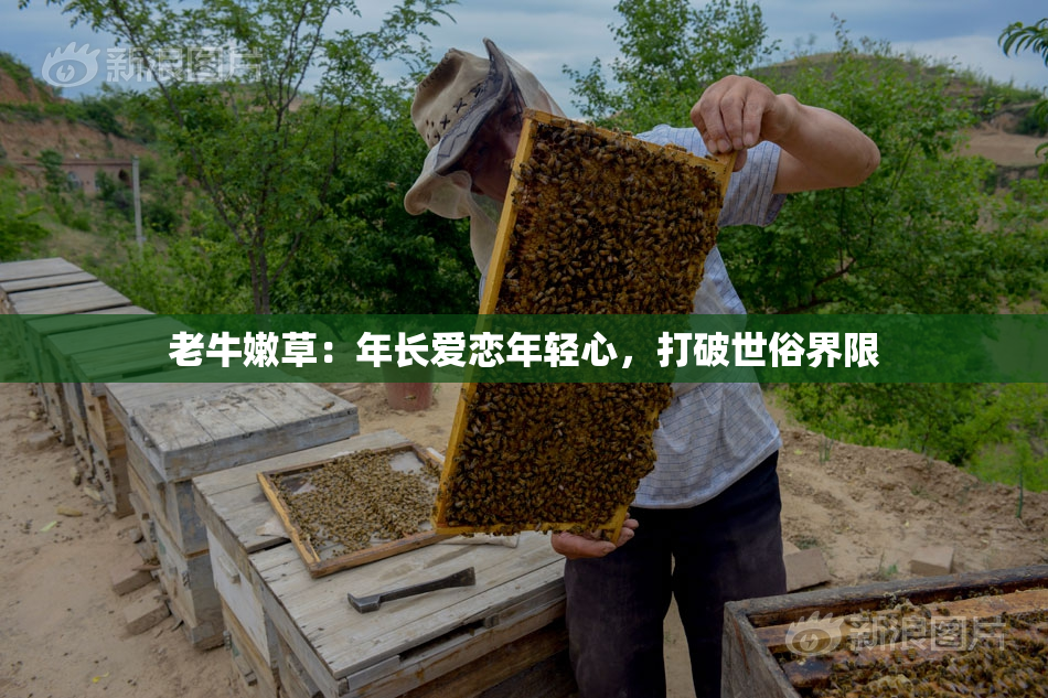 老牛嫩草：年长爱恋年轻心，打破世俗界限