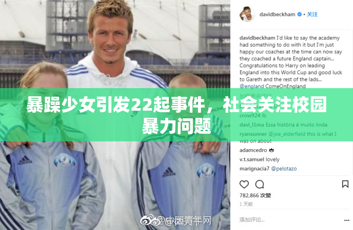 暴躁少女引发22起事件，社会关注校园暴力问题